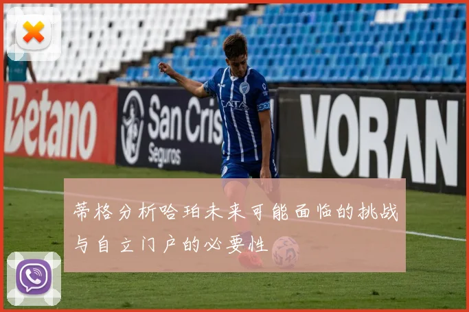 蒂格分析哈珀未来可能面临的挑战与自立门户的必要性
