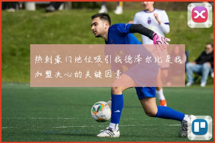 热刺豪门地位吸引我德泽尔比是我加盟决心的关键因素